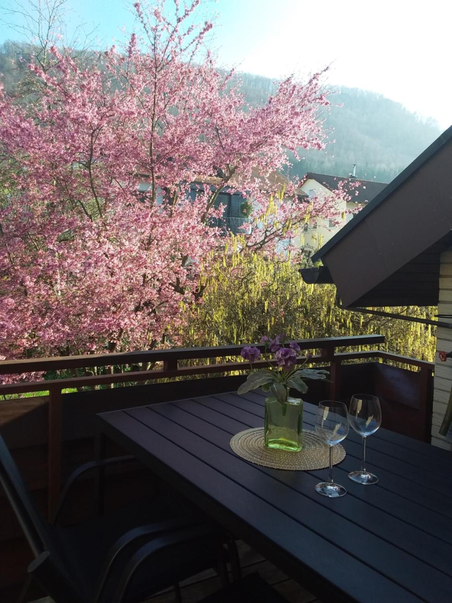 Sterngaessle Apartment Deggingen Exterior foto